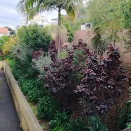 Charming In With Balcony And View Apartament Funchal (Madeira)