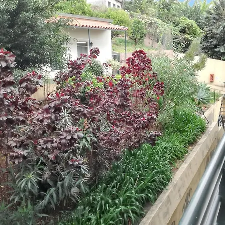 Charming In With Balcony And View Διαμέρισμα *