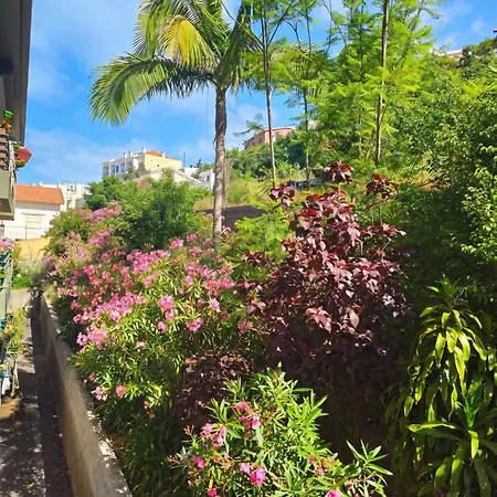 Charming In With Balcony And View