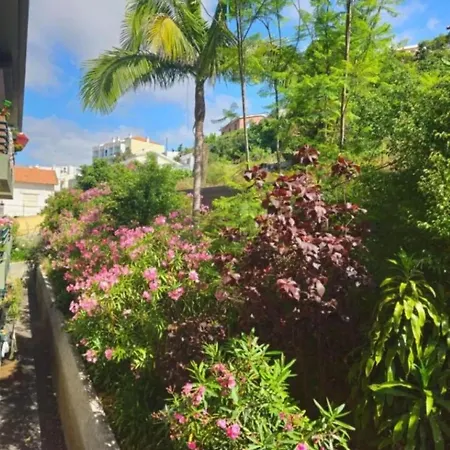 Charming In With Balcony And View Appartement